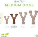 Benebone Wishbone Durable Dog Chew Toy for Aggressive Chewers, Real Peanut, Made in USA, Medium - Image 5
