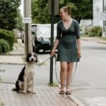 Fida 4 FT Heavy Duty Dog Leash with 2 Comfortable Padded Handles, Traffic Handle & Advanced Easy Snap Hook, Reflective Walking Lead for Large, Medium & Small Breed Dogs, Green - Image 7