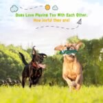 Squeaky Dog Toys for Puppy Small Medium Dogs, Stuffed Samll Dog Toys Bulk with 12 Plush Pet Dog Toy Set, Cute Safe Dog Chew Toys Pack for Puppies Teething (12 Dog Toys) - Image 7