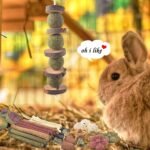 ERKOON Rabbit Toy, 42 Pieces Timothy Hay Sticks Carrots Rose Grass Cake Dental Care Molar, Chinchillas Toy Chew Toy for Rabbits, Guinea Pigs, Hamsters, Chinchilla - Image 5