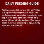 Purina ONE Tender Cuts Wet Dog Food, in Gravy Chicken & Brown Rice Entree 2 Flavours - 368 g Can (12 Pack) - Image 11