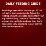 Purina ONE Tender Cuts Wet Dog Food, in Gravy Chicken & Brown Rice Entree 2 Flavours - 368 g Can (12 Pack) - Image 12