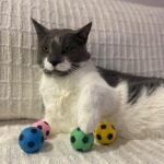 Ethical Sponge Soccer Balls Cat Toy, 4-Pack - Image 3