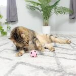 Ethical Sponge Soccer Balls Cat Toy, 4-Pack - Image 9