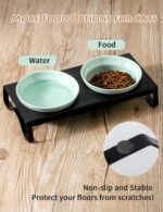 Ceramic Green Cat Bowl Set - 5 inch Wide Cat Food & Water Bowls, Elevated Feeding Porcelain with Metal Stand for Indoor Cats and Small Dog,2 Bowls+1 Stand Set for Wet and Dry Food - Image 4
