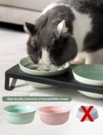 Ceramic Green Cat Bowl Set - 5 inch Wide Cat Food & Water Bowls, Elevated Feeding Porcelain with Metal Stand for Indoor Cats and Small Dog,2 Bowls+1 Stand Set for Wet and Dry Food - Image 7