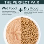 Lickable Wet Cat Food Treats for Adult & Senior Cats, Premium Wet Pet Food Delectables Bisque for Cats Chicken Recipe Protein-Rich - (Pack of 10) 2.8 oz Pouches - Image 8