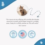 Cat Allergy Relief & Immune Support, Natural Relief for Seasonal Allergies, Itching, Sneezing, Congestion, Runny Nose, and Feline Respiratory Infections, 400 Small Odorless Tasteless Pills - Image 3