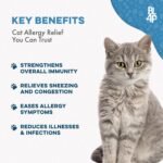 Cat Allergy Relief & Immune Support, Natural Relief for Seasonal Allergies, Itching, Sneezing, Congestion, Runny Nose, and Feline Respiratory Infections, 400 Small Odorless Tasteless Pills - Image 4