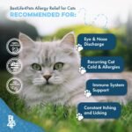 Cat Allergy Relief & Immune Support, Natural Relief for Seasonal Allergies, Itching, Sneezing, Congestion, Runny Nose, and Feline Respiratory Infections, 400 Small Odorless Tasteless Pills - Image 6
