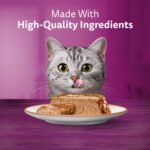 WHISKAS Meaty Selections Adult Wet Cat Food Paté - 6 Chicken, 6 Beef, 12x100g Tray - Image 5