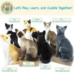 Boone The Black Cat - 13 Inch Stuffed Animal Plush - by TigerHart Toys - Image 7