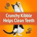Friskies Party Mix Cat Treats, Original Crunch with Real Chicken - 510 g Cannister (3 Pack) - Image 6