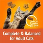 Friskies Party Mix Cat Treats, Original Crunch with Real Chicken - 510 g Cannister (3 Pack) - Image 7