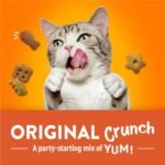 Friskies Party Mix Cat Treats, Original Crunch with Real Chicken - 510 g Cannister (3 Pack) - Image 9