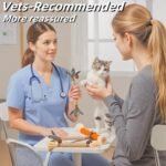 Cats Toys 12Pack Cats Toy Kitten Treat Silvervine Chew Stick Catnip Toy Kitty Natural Stuff Catnip for Cleaning Teeth Indoor Dental Snack Interactive - Image 3