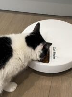 Cat Mate C500 Automatic Pet Feeder with Digital Timer for Cats and Small Dogs - Image 7