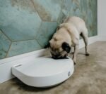 Cat Mate C500 Automatic Pet Feeder with Digital Timer for Cats and Small Dogs - Image 8