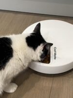 Cat Mate C500 Automatic Pet Feeder with Digital Timer for Cats and Small Dogs - Image 14