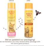Burt's Bees for Cats Hypoallergenic Shampoo with Shea Butter & Honey | Moisturizing & Nourishing Cat Shampoo | Cruelty Free, Sulfate & Paraben Free, pH Balanced for Cats - Made in USA, 10 Oz - 2 Pack - Image 3