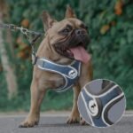 Dog Harness with Leash Set, No Pull Adjustable Step in Dog Collars with Breathable Padded Puppy Harness for Small Medium Training and Running(Blue, XS) - Image 4
