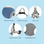 Dog Harness with Leash Set, No Pull Adjustable Step in Dog Collars with Breathable Padded Puppy Harness for Small Medium Training and Running(Blue, XS) - Image 5