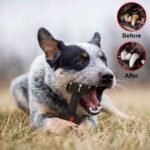 Dog Chew Toys for Aggressive Chewers,Food Grade Non-Toxic Dental Pet Toy,Tough Durable Indestructible Dog Toys for Medium Large Dogs.Black. - Image 7