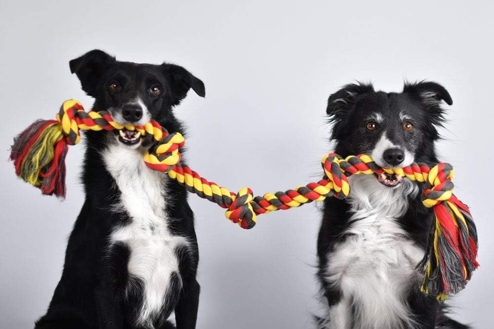 Flossy Chews Cottonblend Color 5-Knot Rope Tug, Super X-Large 72-Inch, Assorted Colors - Image 4