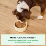 Open Farm Rustic Stews Wet Dog Food, Grain-Free, Complete & Balanced with Human-Grade Ingredients, Humanely-Raised Meat & Bone Broth, Wild-Caught Salmon Recipe, 12.5oz Packs (Case of 12) - Image 4