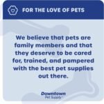 Downtown Pet Supply 12-inch Bully Sticks for Large Dogs, Pack of 8 - Single Ingredient, Rawhide Free Dog Chews for Aggressive Chewers - Nutrient-Rich and Odor Free Bully Sticks for Dogs - Beef - Image 9