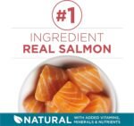 Purina ONE Dry Cat Food, Salmon & Rice Formula - 3 kg Bag - Image 5