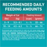 Purina ONE Dry Cat Food, Salmon & Rice Formula - 3 kg Bag - Image 10