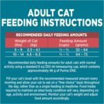 Purina ONE Dry Cat Food, Salmon & Rice Formula - 3 kg Bag - Image 11