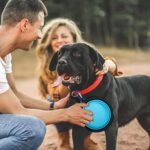 2 Pack Collapsible Dog Bowl Travel Dog Bowls Portable Dog Water Food Bowl 350 ml Pet Feeder Bowl with Carabiner Pet Supplies for Traveling, Hiking, Walking - Image 4