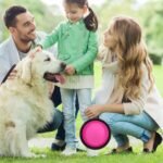 2 Pack Collapsible Dog Bowl Travel Dog Bowls Portable Dog Water Food Bowl 350 ml Pet Feeder Bowl with Carabiner Pet Supplies for Traveling, Hiking, Walking - Image 6