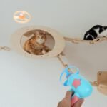 BESPORTBLE Interactive Cat Toy Disc Launcher - Fetch and Chase Exercise Game with 5 Propeller Discs (1 Glow in The Dark) - Flying Saucer Toy for Cats and Small Dogs - Fun Pet Gift for Indoor Play - Image 4