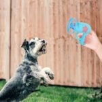 BESPORTBLE Interactive Cat Toy Disc Launcher - Fetch and Chase Exercise Game with 5 Propeller Discs (1 Glow in The Dark) - Flying Saucer Toy for Cats and Small Dogs - Fun Pet Gift for Indoor Play - Image 8