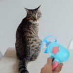 BESPORTBLE Interactive Cat Toy Disc Launcher - Fetch and Chase Exercise Game with 5 Propeller Discs (1 Glow in The Dark) - Flying Saucer Toy for Cats and Small Dogs - Fun Pet Gift for Indoor Play - Image 10