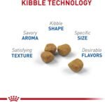 Royal Canin Indoor 7+ Adult Dry Cat Food, 5.5 lb bag - Image 4