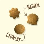 Purina Friskies Party Mix Cat Treats | Naturals Gourmet Crunch + Cheezy Craze Crunch (170g Each) - Image 5