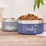 Personalized Dog Bowl, Custom Pet Name Stainless Steel Pet Bowl Puppy Dog Feeding Bowl for Food and Water Insulated Bite-Resistant Food Water Dishes (Style 3) - Image 3
