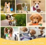 Puppy Toys,21 Pack Dog Toys for Small Dogs,Puppy Teething Toys,Puppy Chew Toys,Squeaky Plush Toys and Rope Toys,Interactive Dog Toys - Image 7
