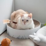 POPETPOP 2pcs Cat Wand Refill Teaser Toys Feathered Dragonfly with Bell Cat Teaser Attachment Cat Worms Replacement Brown - Image 3