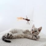 POPETPOP 2pcs Cat Wand Refill Teaser Toys Feathered Dragonfly with Bell Cat Teaser Attachment Cat Worms Replacement Brown - Image 4