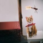 POPETPOP 2pcs Cat Wand Refill Teaser Toys Feathered Dragonfly with Bell Cat Teaser Attachment Cat Worms Replacement Brown - Image 7