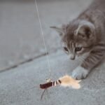 POPETPOP 2pcs Cat Wand Refill Teaser Toys Feathered Dragonfly with Bell Cat Teaser Attachment Cat Worms Replacement Brown - Image 9