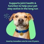 Vetoquinol Flexadin Advanced (with boswellia) – Dog Joint Supplement – One Unit a Day for Dogs - Image 5