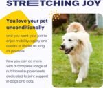 Vetoquinol Flexadin Advanced (with boswellia) – Dog Joint Supplement – One Unit a Day for Dogs - Image 6