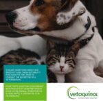 Vetoquinol Flexadin Advanced (with boswellia) – Dog Joint Supplement – One Unit a Day for Dogs - Image 9
