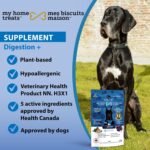Dog Digestion Supplement Bundle (3 x 170 g) – Gut Health & Flora Balance | Probiotics, Prebiotics & Postbiotic with Blueberries & Psyllium | Health Canada Approved (NN.H3X1) | Dog Digestive Support - Image 5